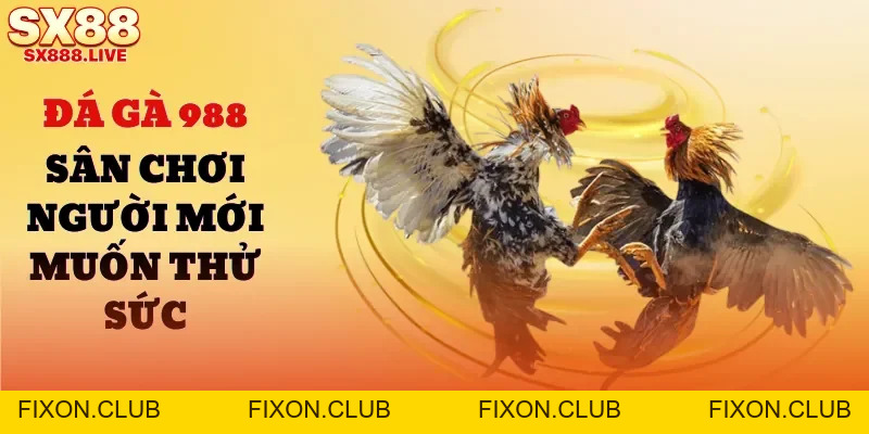 Đá Gà SX88 - Cá Cược Mang Tính Gay Cấn, Mãn Nhãn