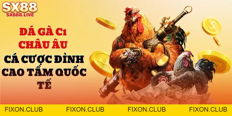 Đá Gà 988 | Cẩm Nang Cho Người Chơi Mới Muốn Thử Sức