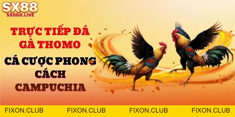 Đá Gà 988 | Cẩm Nang Cho Người Chơi Mới Muốn Thử Sức