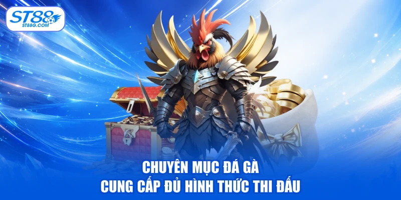 Đá Gà ST88 - Xem Chọi Kê & Tham Gia Cá Cược Dễ Dàng