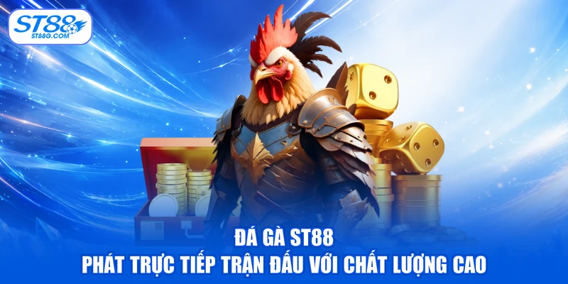 Đá Gà ST88 - Xem Chọi Kê & Tham Gia Cá Cược Dễ Dàng