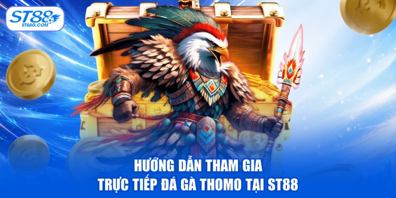 Trực Tiếp Đá Gà Thomo - Xem Giải C1 C2 C3 Sớm Nhất