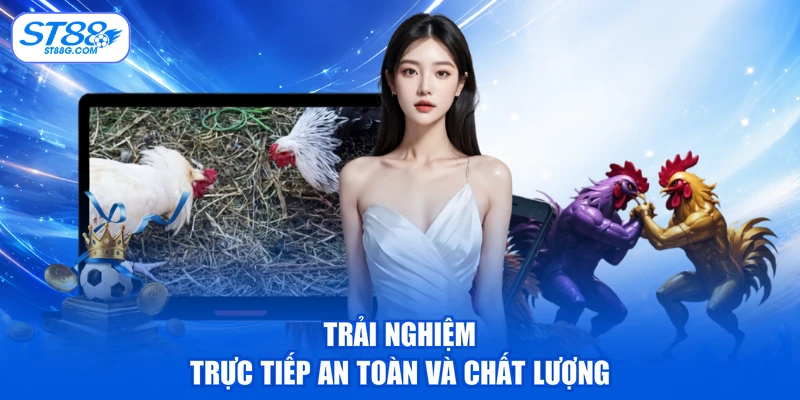 Trực Tiếp Đá Gà Thomo - Xem Giải C1 C2 C3 Sớm Nhất