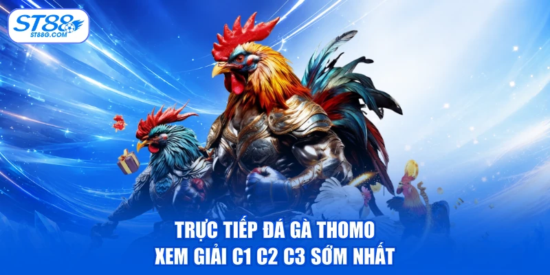 Trực Tiếp Đá Gà Thomo - Xem Giải C1 C2 C3 Sớm Nhất